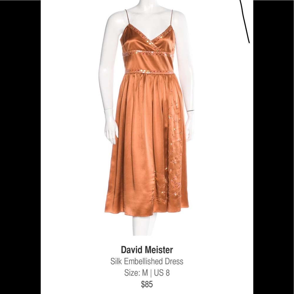 Silk Embellished Dress